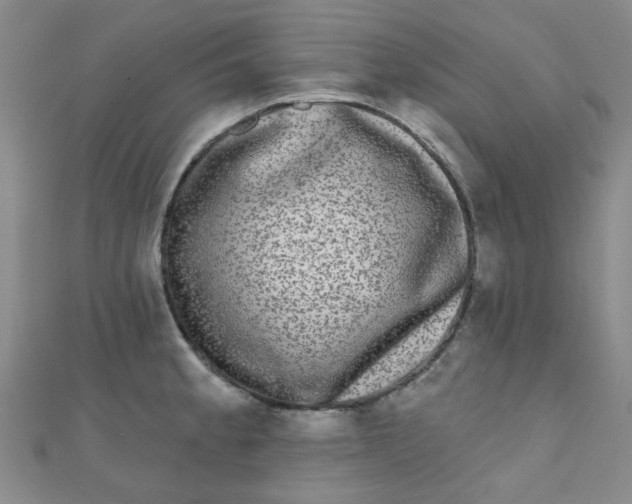 X0000111001189200907022130