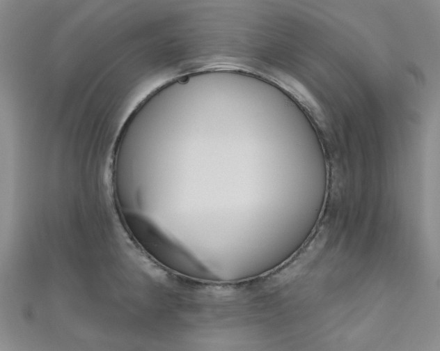 X0000111001190200907022130