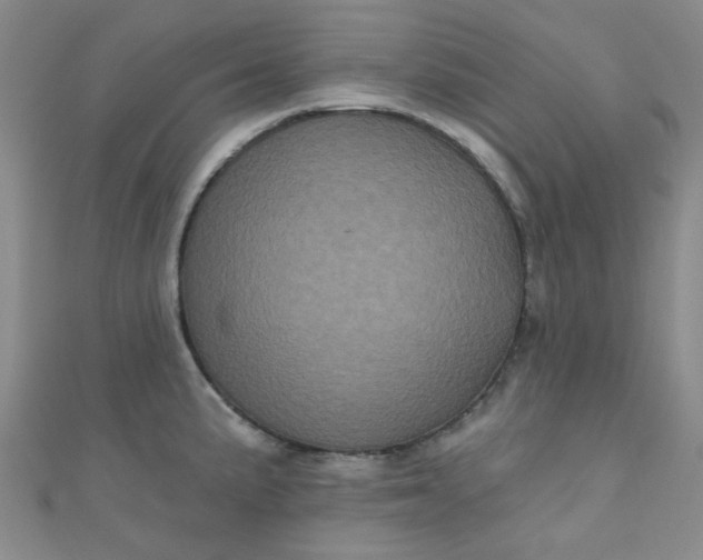 X0000111001191200907022130