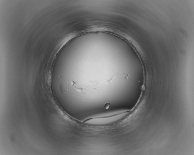 X0000111001193200907022130