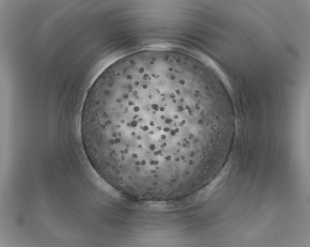 X0000111001194200907022130