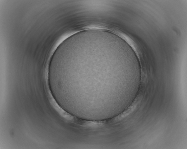 X0000111001195200907022130