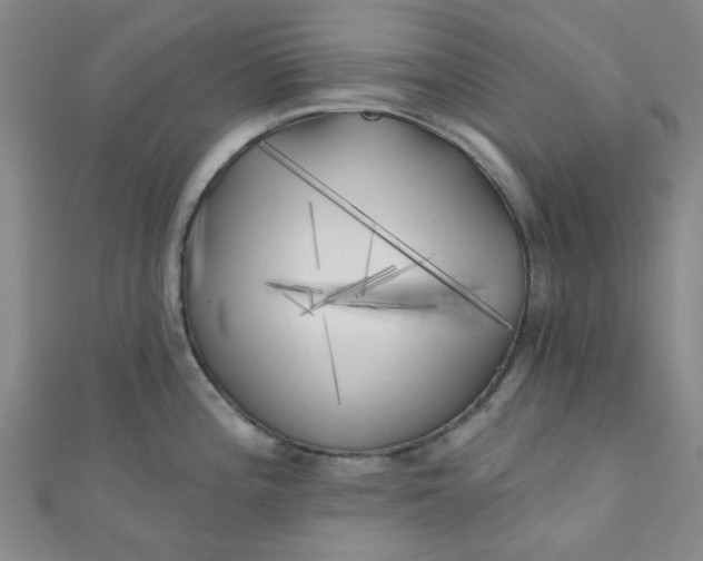 X0000111001196200907022130