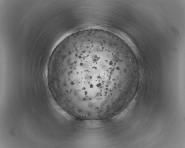 X0000111001198200907022130