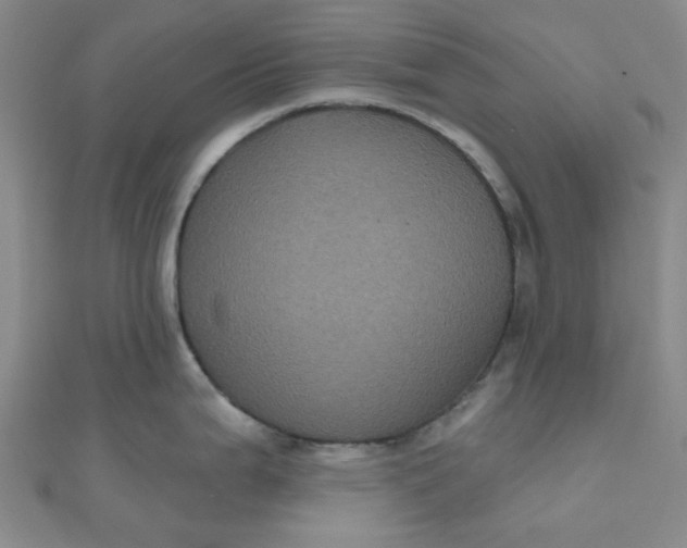 X0000111001199200907022130