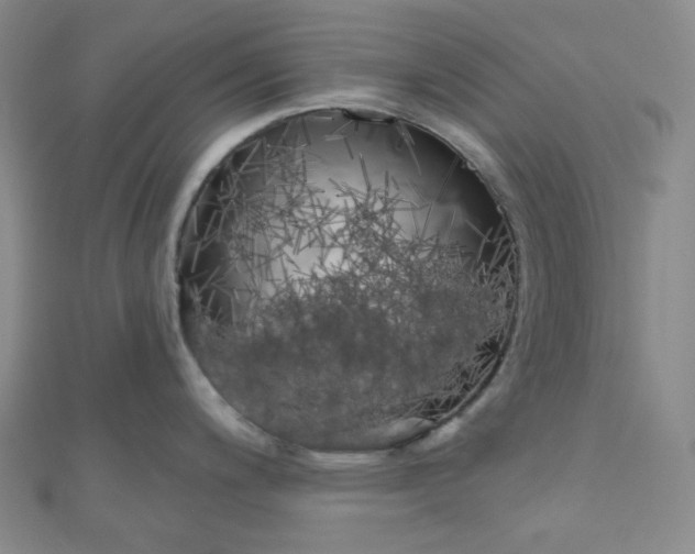 X0000111001200200907022130