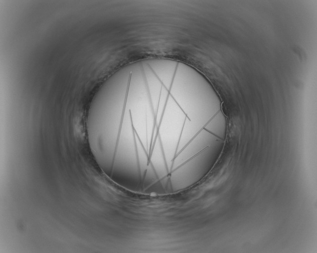 X0000111001202200907022129