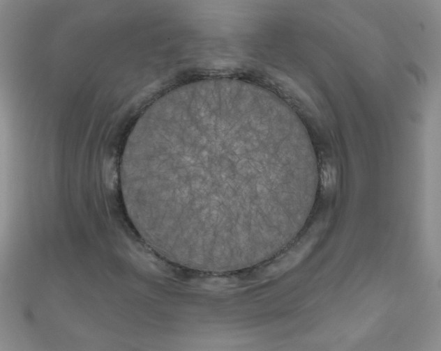 X0000111001204200907022129