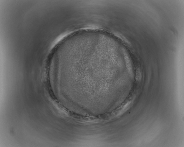 X0000111001208200907022129