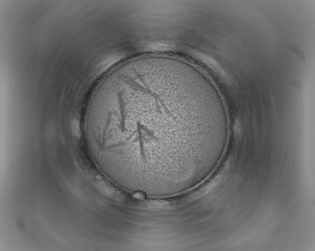 X0000111001209200907022129