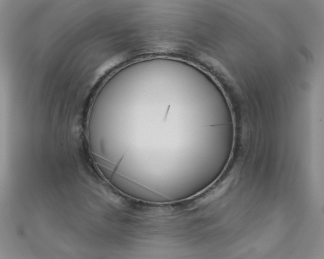 X0000111001210200907022129