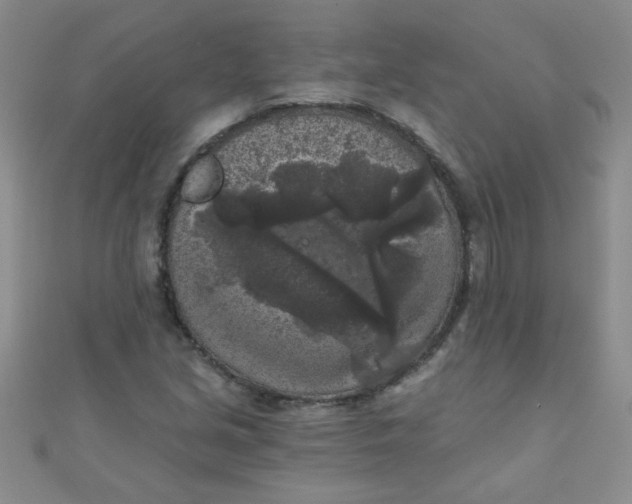 X0000111001213200907022130