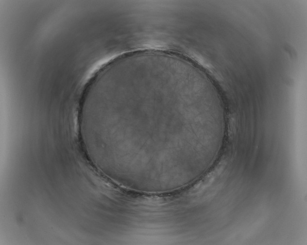 X0000111001214200907022130