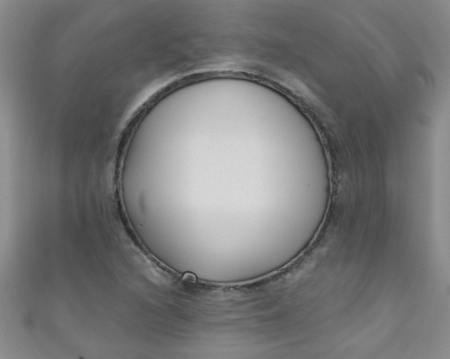 X0000111001216200907022130