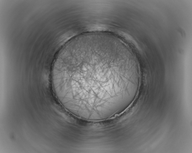 X0000111001217200907022130