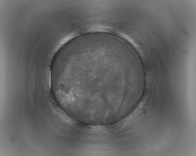 X0000111001219200907022130