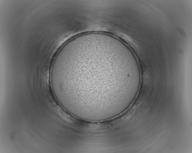 X0000111001220200907022130