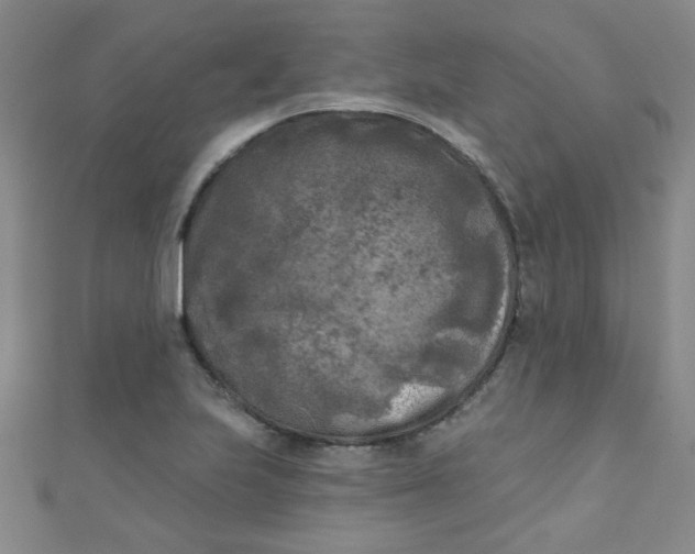 X0000111001223200907022130