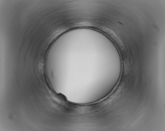 X0000111001225200907022130