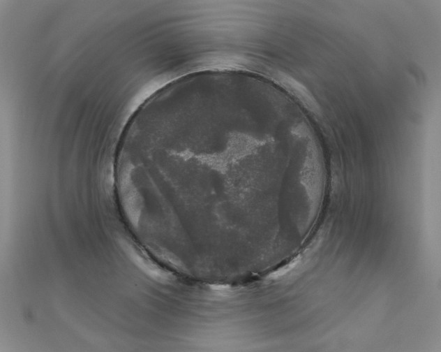 X0000111001226200907022130