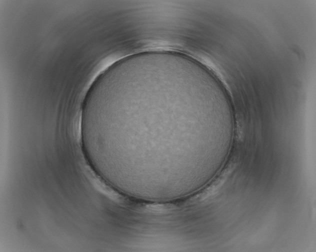 X0000111001227200907022130