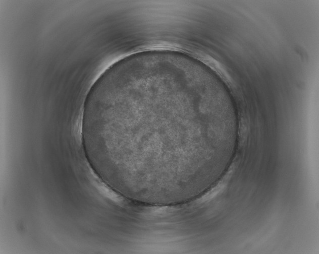 X0000111001228200907022130