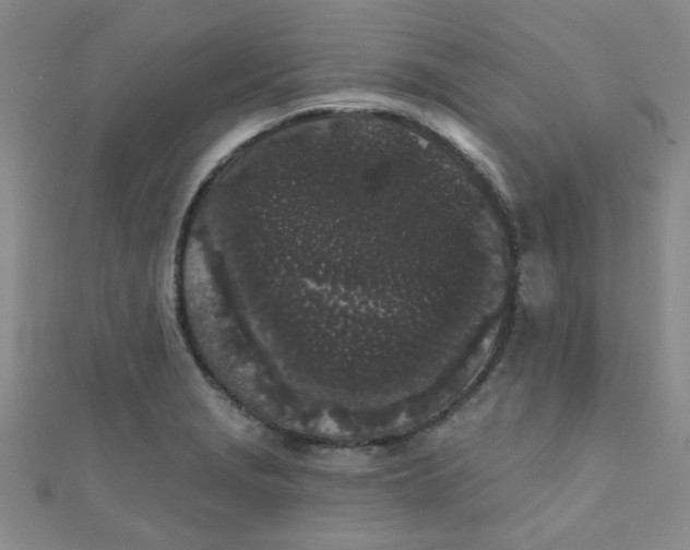 X0000111001229200907022130