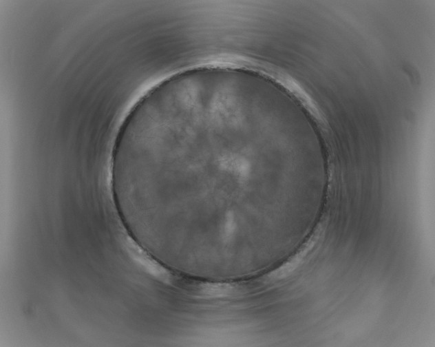 X0000111001232200907022130