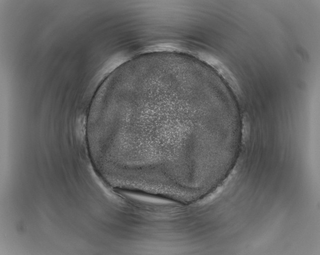 X0000111001233200907022130