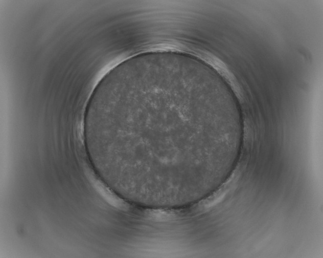 X0000111001234200907022130