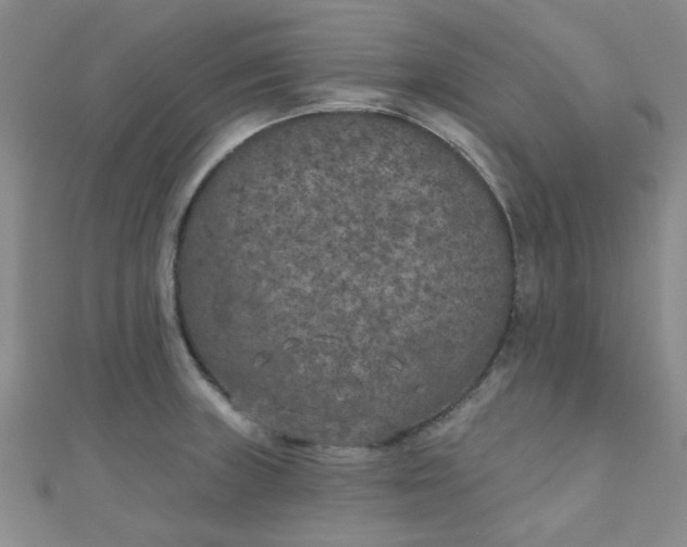 X0000111001235200907022130