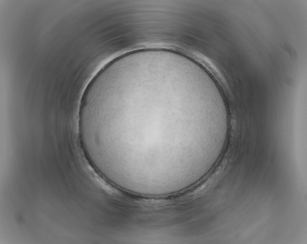 X0000111001236200907022130