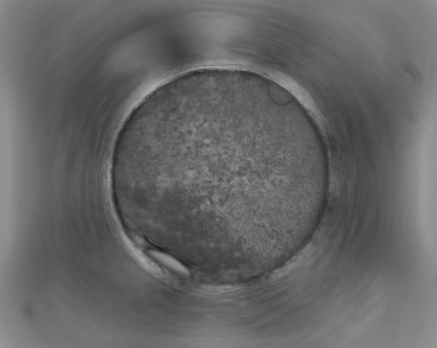 X0000111001237200907022130