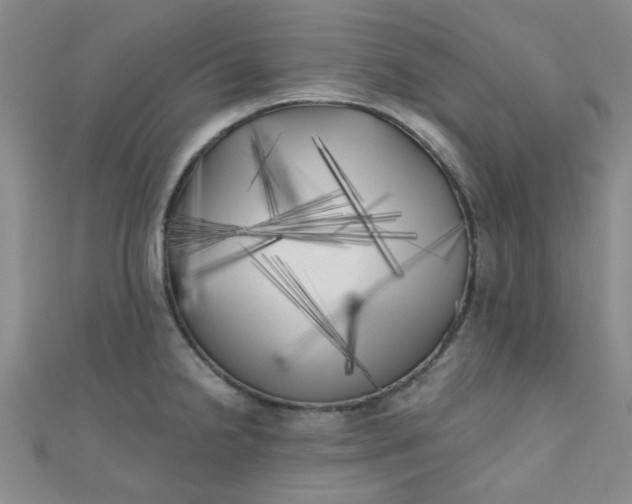 X0000111001238200907022130