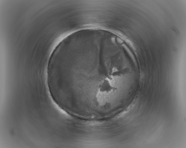 X0000111001239200907022130