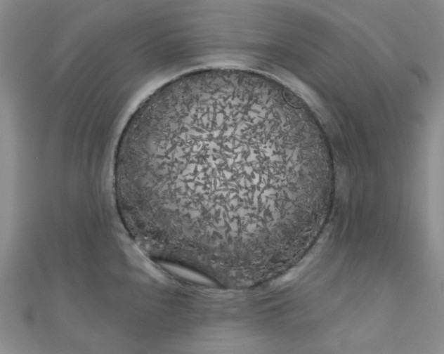 X0000111001240200907022130