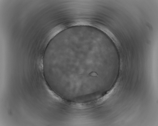 X0000111001241200907022130