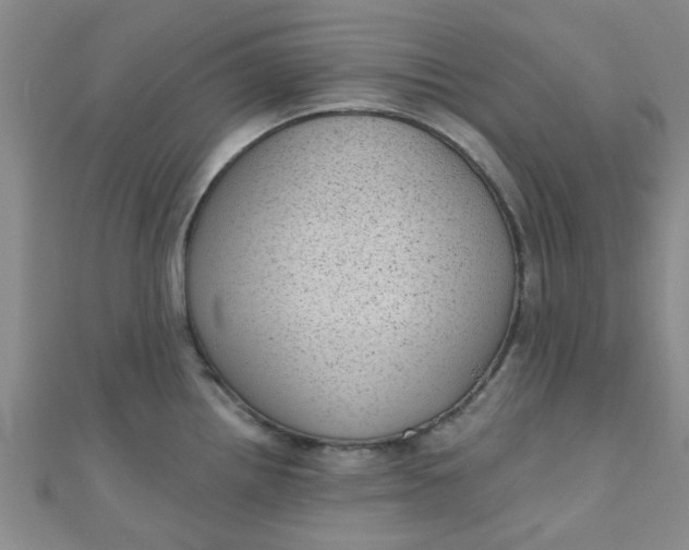 X0000111001242200907022130