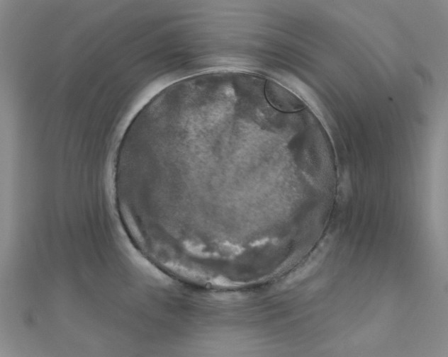 X0000111001243200907022130