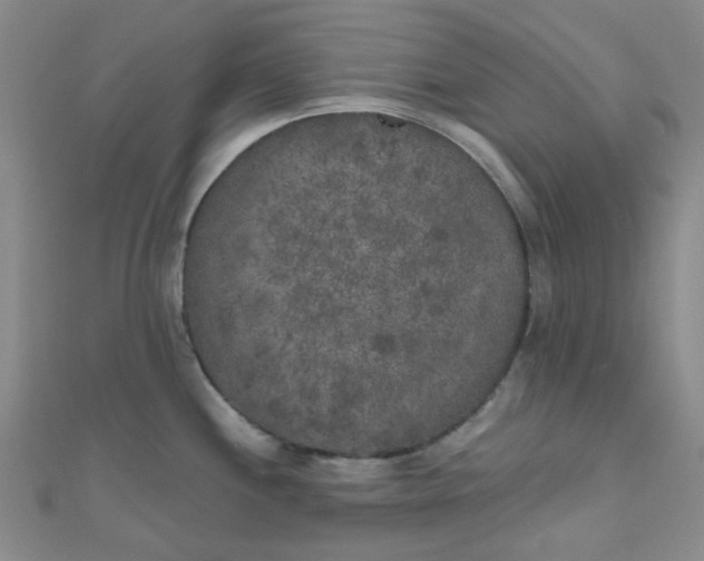 X0000111001244200907022130