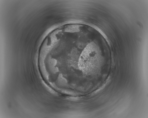 X0000111001245200907022130