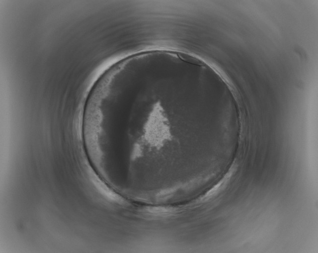 X0000111001246200907022130