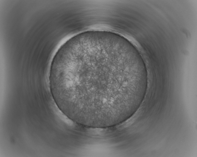 X0000111001248200907022130