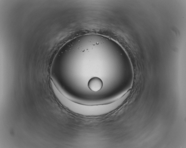 X0000111001253200907022129