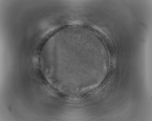 X0000111001254200907022129