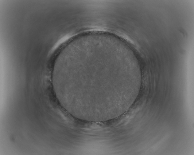 X0000111001255200907022129