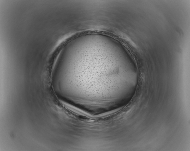 X0000111001256200907022129