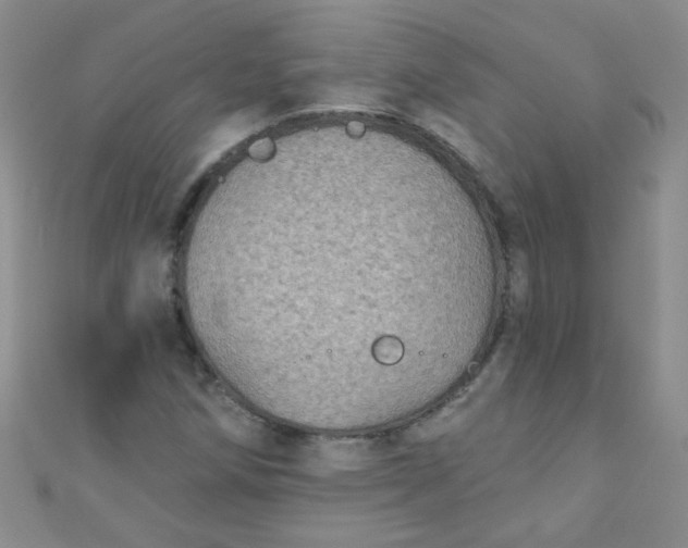 X0000111001258200907022129