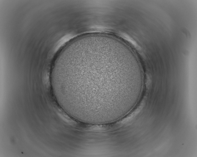 X0000111001259200907022129