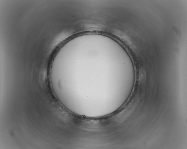 X0000111001261200907022129